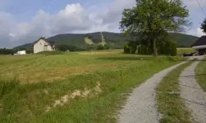 Kasina Wielka: Atrakcje przez cały rok? Twój przewodnik!