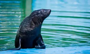 Łeba: Oceanarium, fokarium, 3D? Co wybrać dla rodziny?
